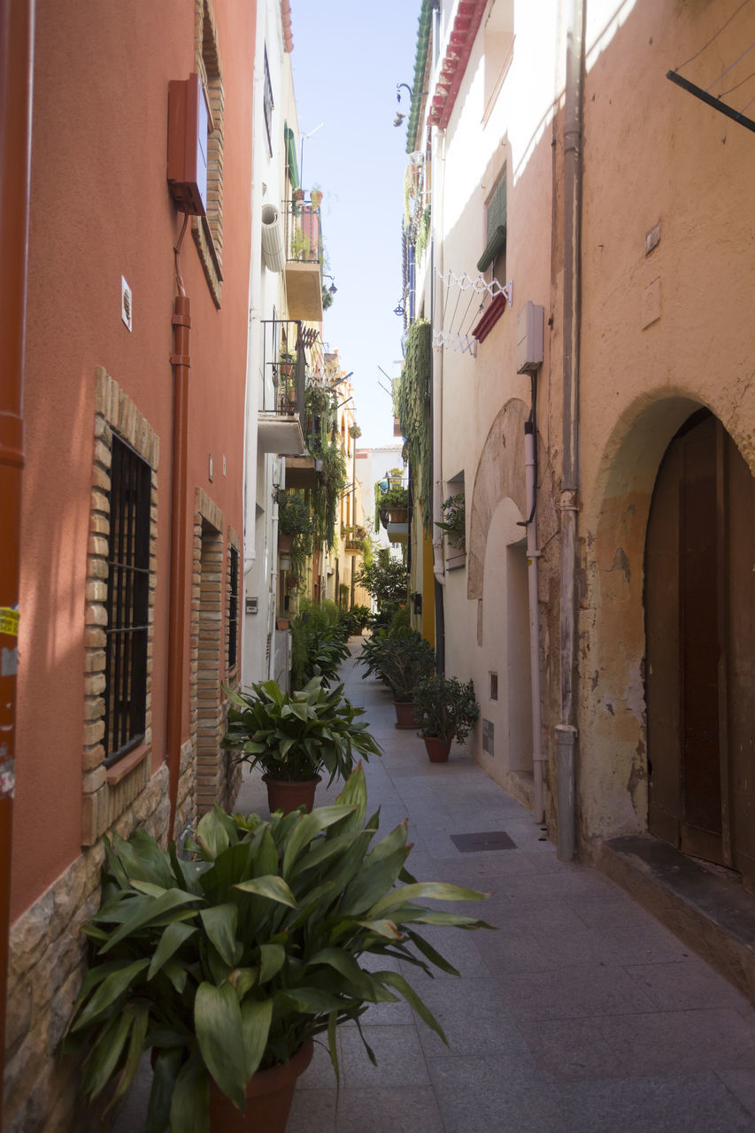 ALLEY AMIDST BUILDINGS IN CITY