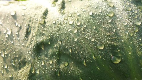 Full frame shot of raindrops on glass