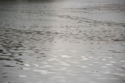 Reflection of clouds in water