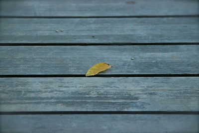 High angle view of yellow leaves on wooden plank