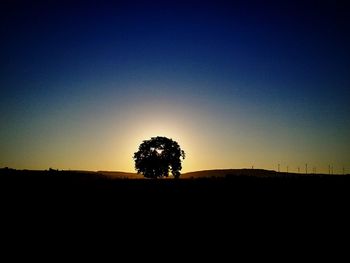 Silhouette trees on field against clear sky during sunset