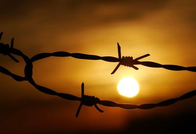 Close-up of barbed wire