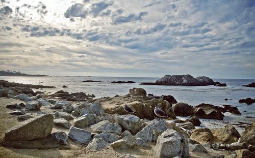 Scenic view of rocky beach against sky