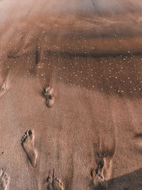 High angle view of footprints on beach