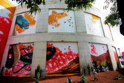 Low angle view of plants outside building