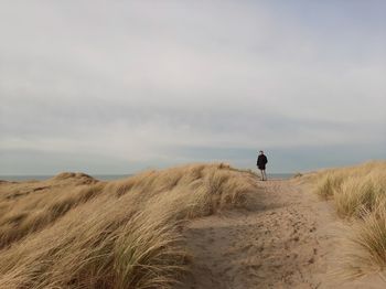 Rear view of man on beach against sky