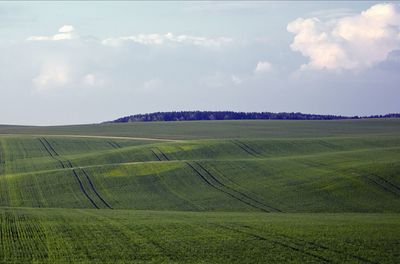 Scenic view of field against sky