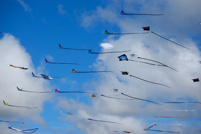 Low angle view of birds on cable