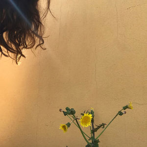 Cropped image of woman against yellow wall