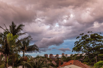 Trees against cloudy sky