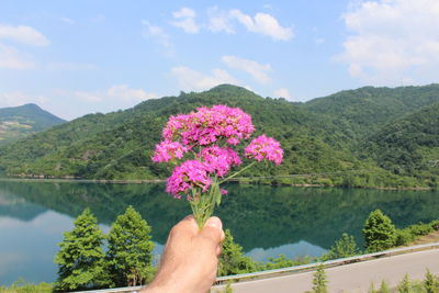 Cropped image of hand holding pink flowering plants by mountains against sky