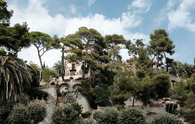 Panoramic shot of palm trees and buildings against sky