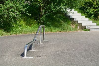 Empty park bench by trees