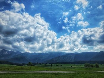 Scenic view of field against sky