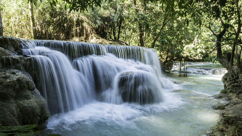 View of waterfall in forest