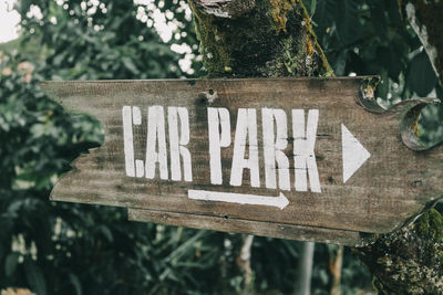 Close-up of text on tree trunk
