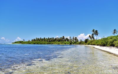 Scenic view of sea against blue sky