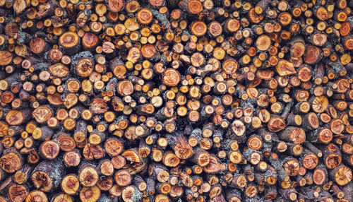 Full frame shot of logs