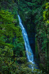 Waterfall from tahiti