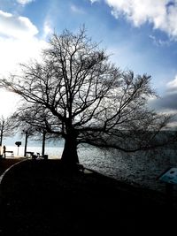 Bare tree on landscape against sky