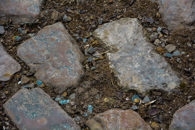 Close-up high angle view of stone