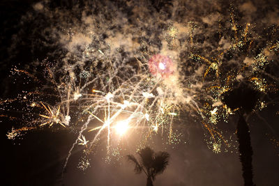 Firework display at night