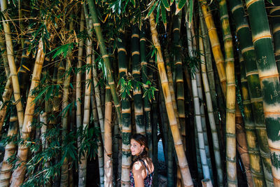 Girl standing by bamboo trees in forest