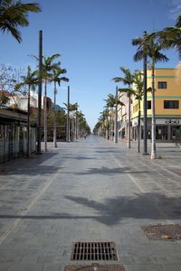 Footpath amidst palm trees against clear sky