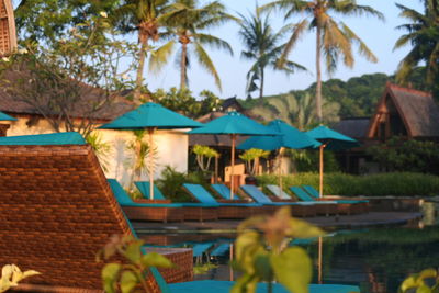 Palm trees by swimming pool at beach