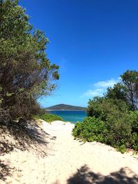 Scenic view of sea against clear blue sky