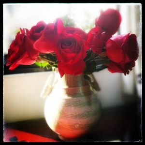 Close-up of red roses in vase