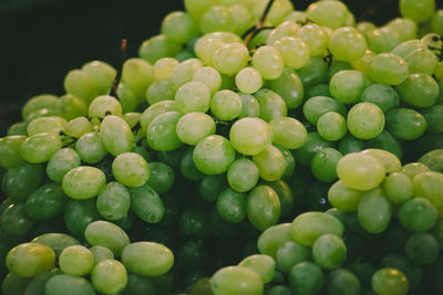 Close-up of grapes