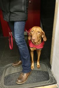 Low section of man with dog standing on floor