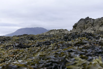 Surface level of rocks on land against sky