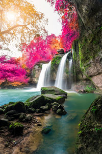 Scenic view of waterfall in forest