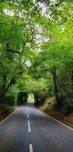 Road amidst trees in forest