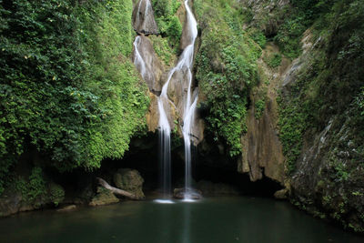 Scenic view of waterfall amidst trees