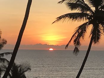 Silhouette palm trees on beach against sky during sunset