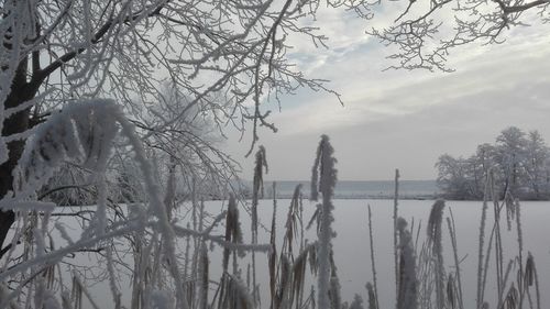 Panoramic view of lake against sky