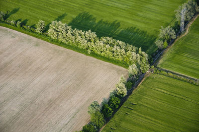 Agriculture field limits