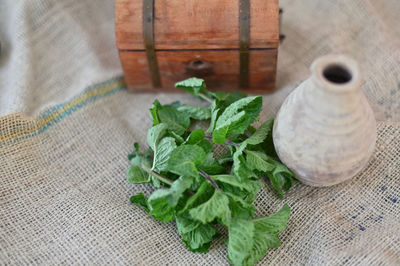 High angle view of vegetables on table