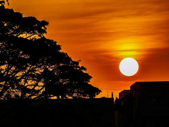 Silhouette of trees at sunset