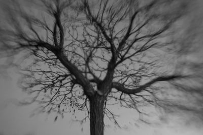 Low angle view of bare tree against sky