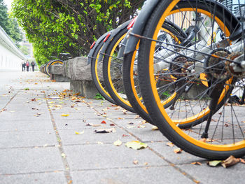 Bicycles parked on sidewalk