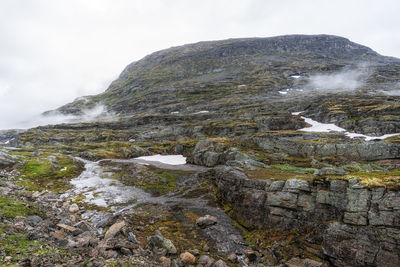 environment