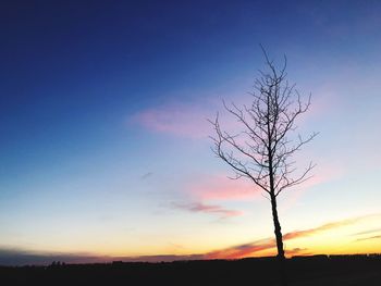 Silhouette bare tree against sky during sunset