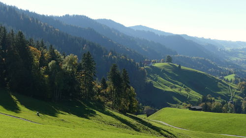 Scenic view of agricultural field against sky