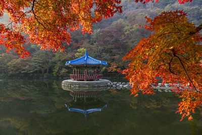 Gazebo amidst lake in forest during autumn