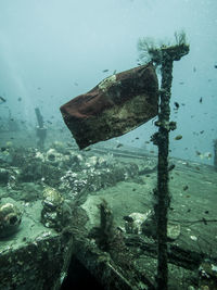 Damaged swimming in sea