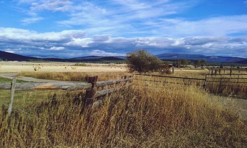 Scenic view of field against cloudy sky